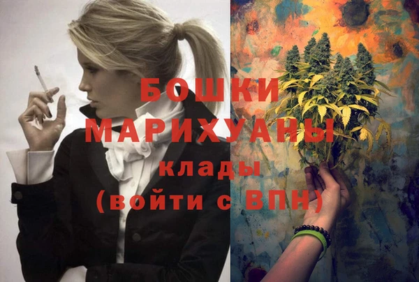 амф Корсаков